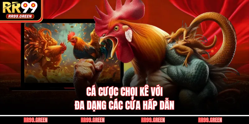 Cá cược chọi kê với đa dạng các cửa hấp dẫn