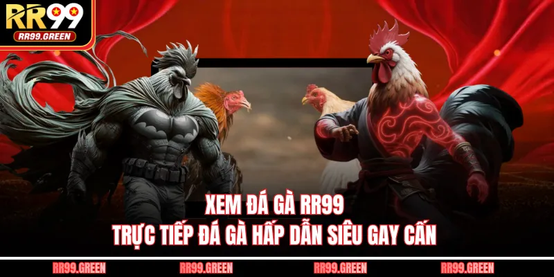 Xem Đá Gà RR99 - Trực Tiếp Đá Gà Hấp Dẫn Siêu Gay Cấn